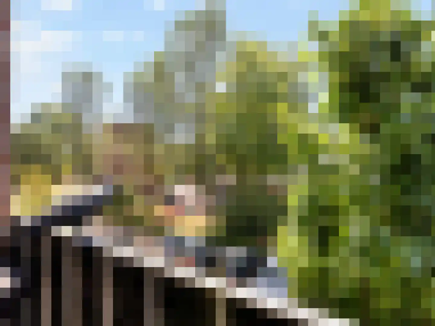 Lucas Gasselstraat 44 Rosmalen thumbnail 33