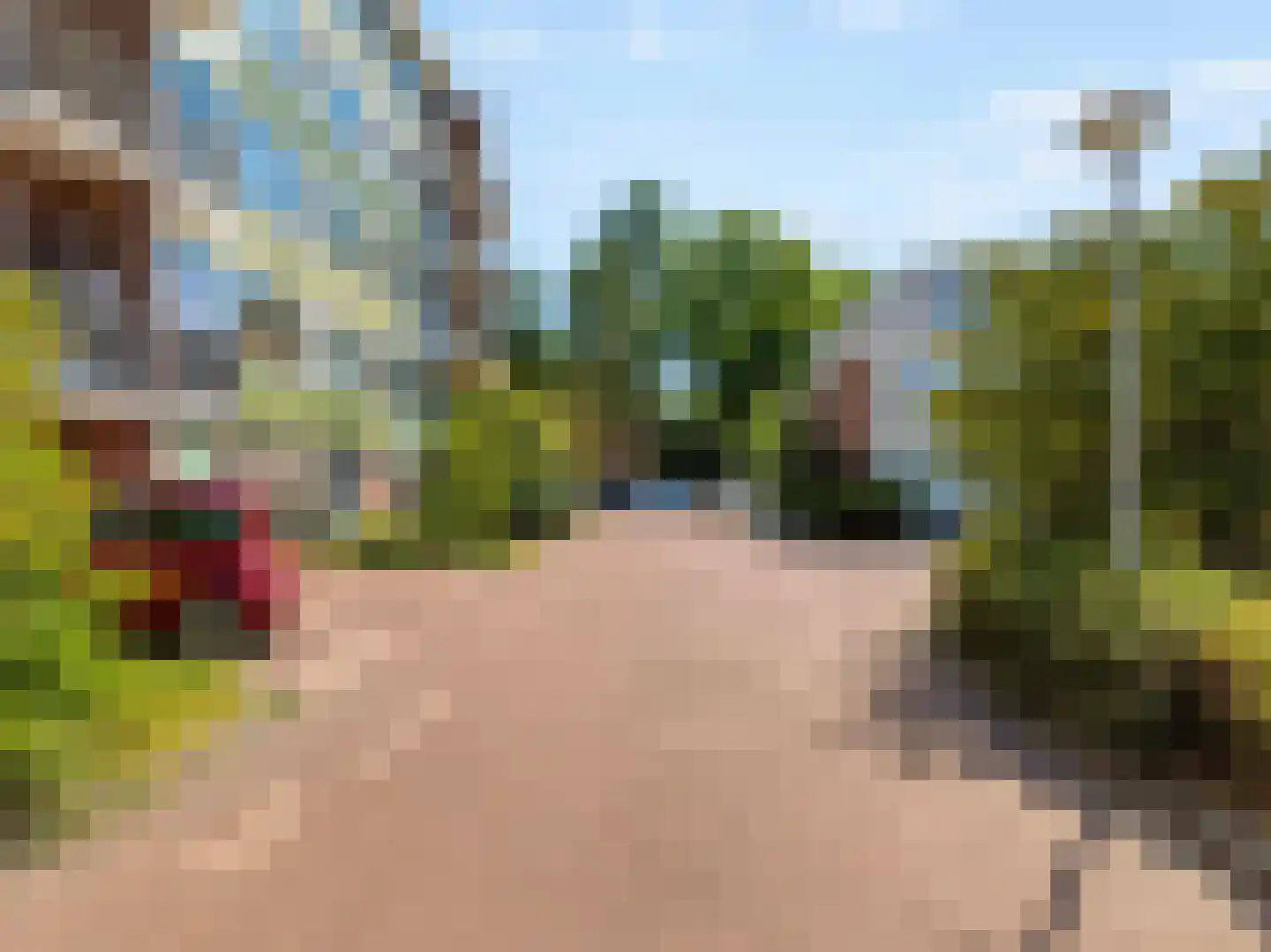 Lucas Gasselstraat 44 Rosmalen thumbnail 38