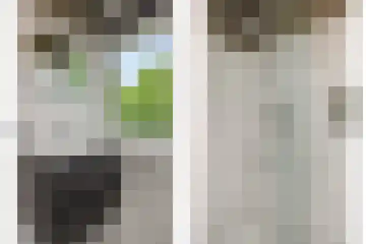 Lucas Gasselstraat 60 Rosmalen thumbnail 18
