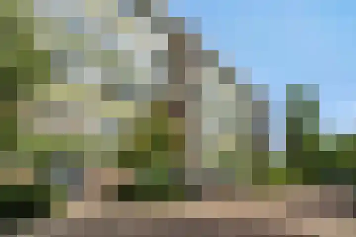 Lucas Gasselstraat 60 Rosmalen thumbnail 24