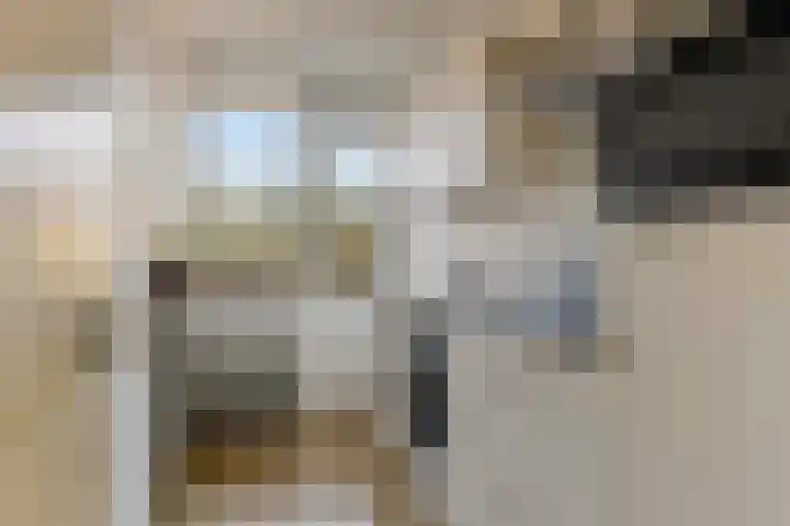 Lucas Gasselstraat 62 Rosmalen thumbnail 11