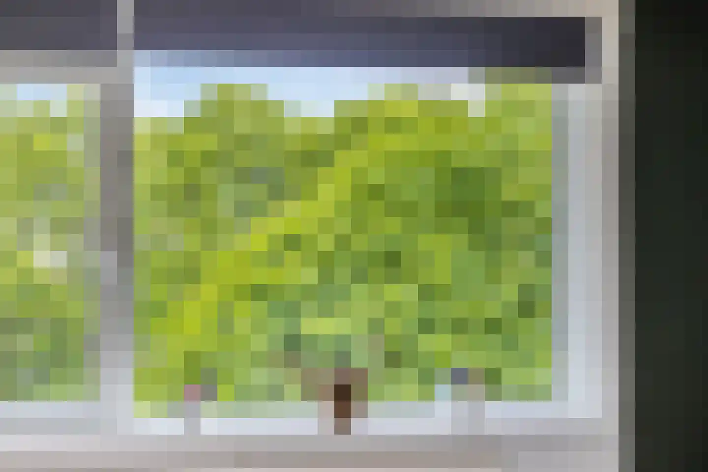Lucas Gasselstraat 64 Rosmalen thumbnail 15