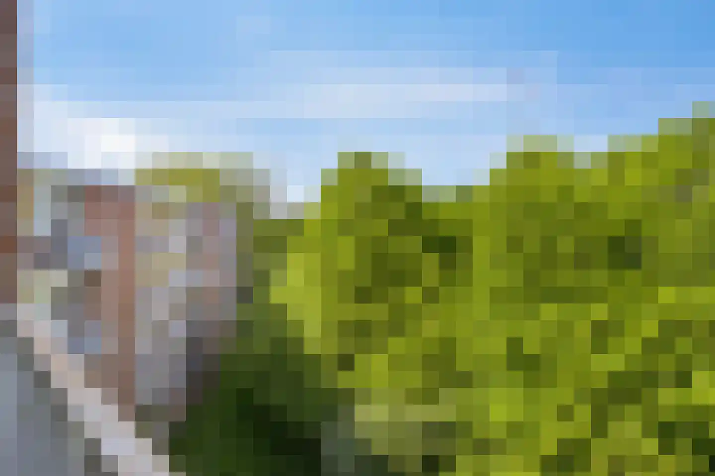 Lucas Gasselstraat 64 Rosmalen thumbnail 23