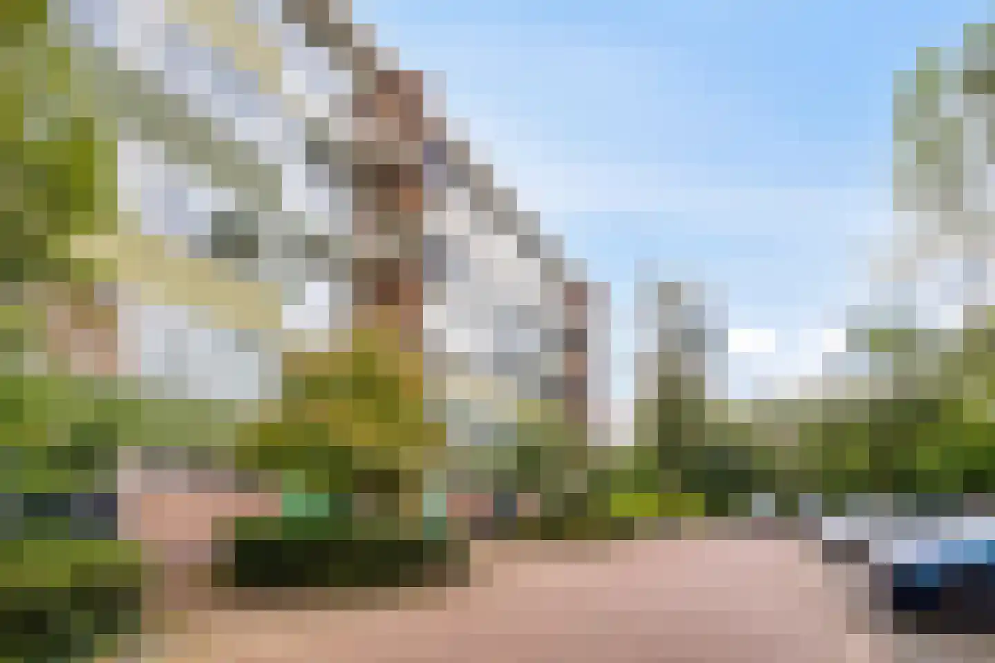 Lucas Gasselstraat 64 Rosmalen thumbnail 30