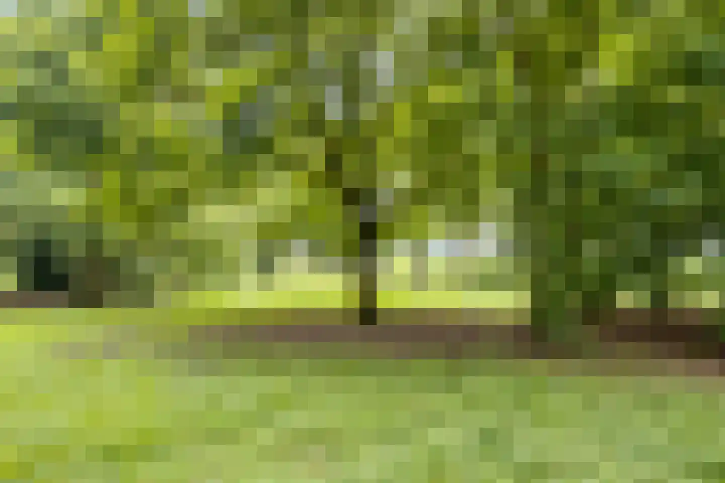 Lucas Gasselstraat 64 Rosmalen thumbnail 36