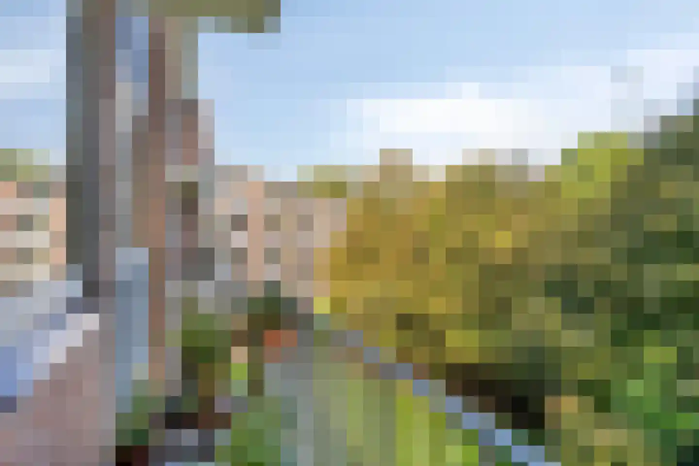 Lucas Gasselstraat 70 Rosmalen thumbnail 5