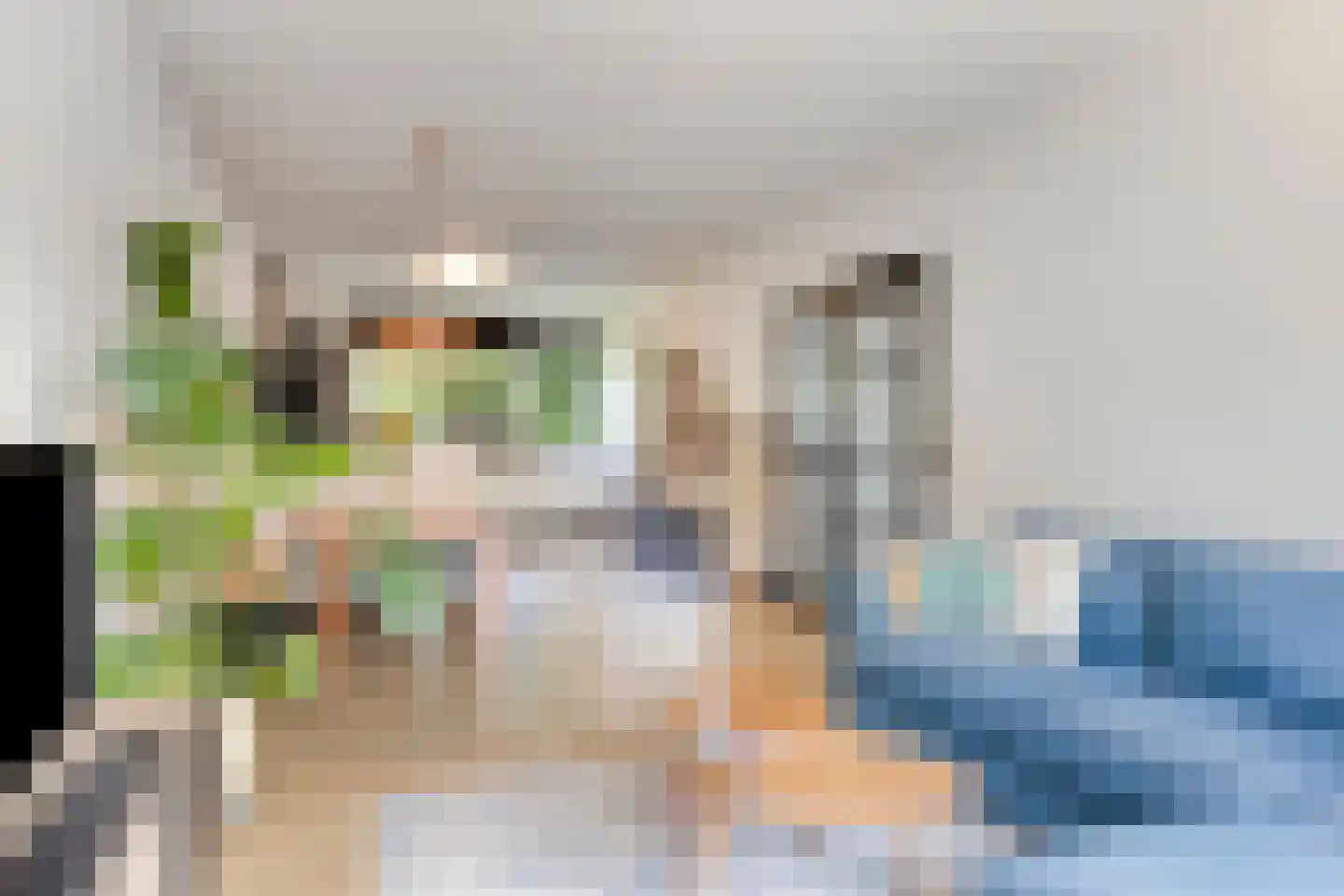 Lucas Gasselstraat 70 Rosmalen thumbnail 8
