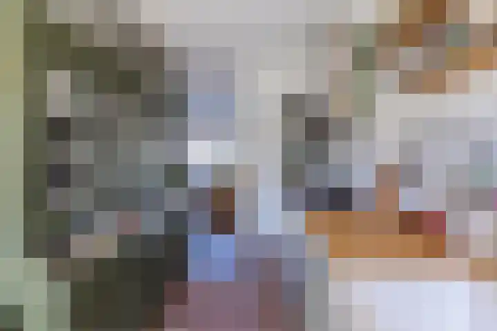 Lucas Meijerstraat 10 ZW Haarlem thumbnail 16