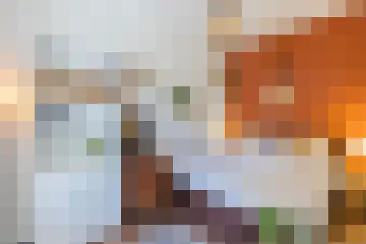 Lucas Meijerstraat 10 ZW Haarlem thumbnail 17