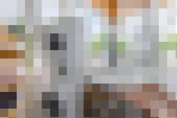 Lucas Meijerstraat 10 ZW Haarlem thumbnail 21