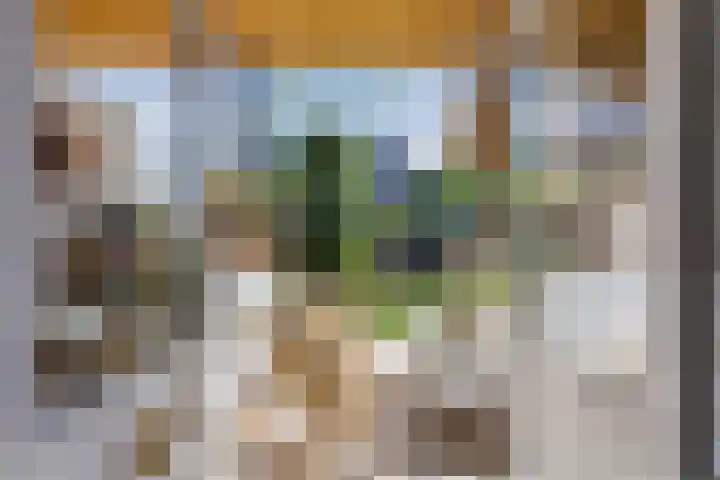 Lucas Meijerstraat 10 ZW Haarlem thumbnail 24