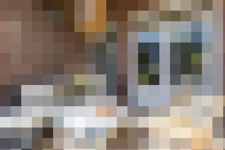 Lucas Meijerstraat 10 ZW Haarlem thumbnail 25