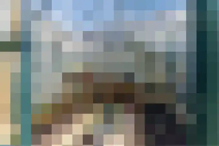 Lucas Meijerstraat 10 ZW Haarlem thumbnail 31