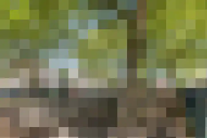 Lucas Meijerstraat 10 ZW Haarlem thumbnail 33