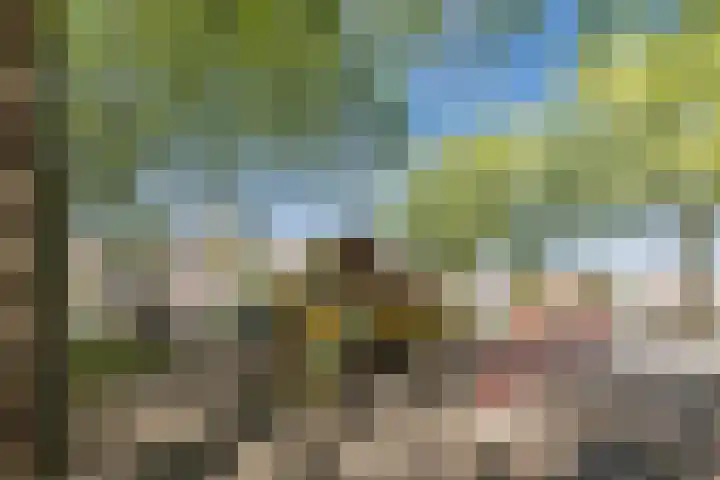 Lucas Meijerstraat 10 ZW Haarlem thumbnail 34