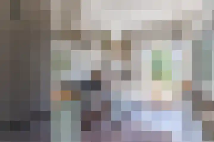 Lucas Meijerstraat 10 ZW Haarlem thumbnail 4
