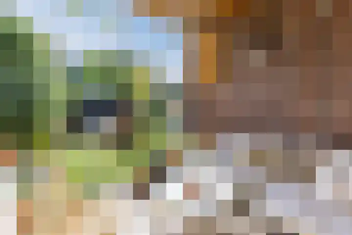 Lucas Meijerstraat 10 ZW Haarlem thumbnail 5