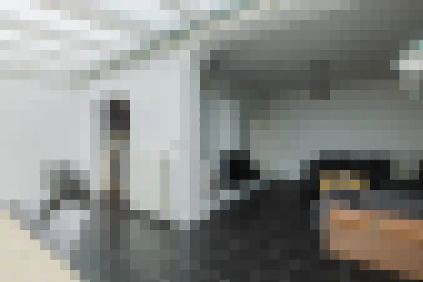 Lucas Meijerstraat 15 Tilburg thumbnail 14
