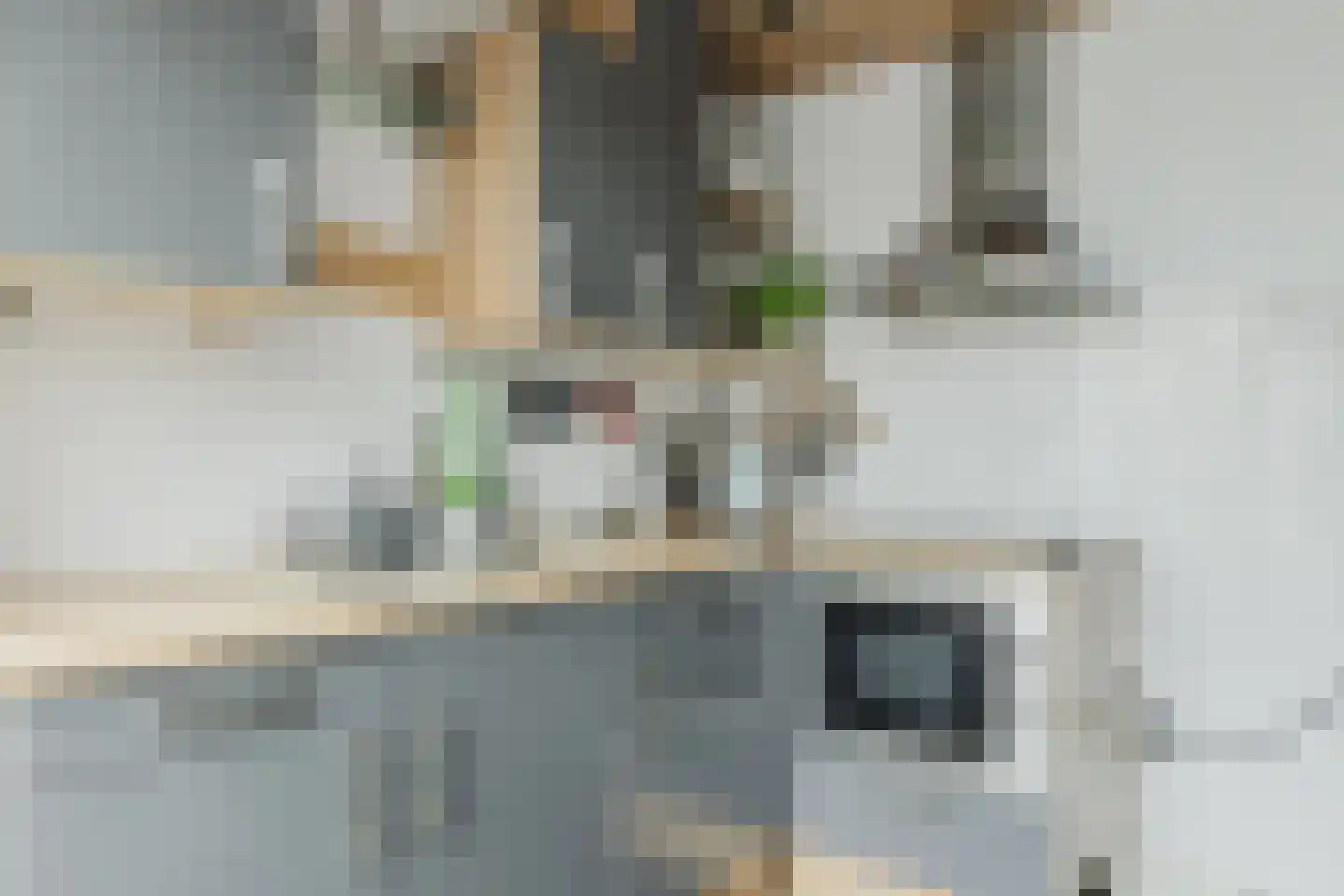 Lucas Meijerstraat 15 Tilburg thumbnail 18