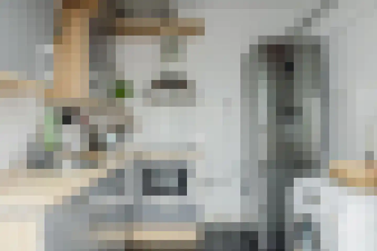 Lucas Meijerstraat 15 Tilburg thumbnail 19
