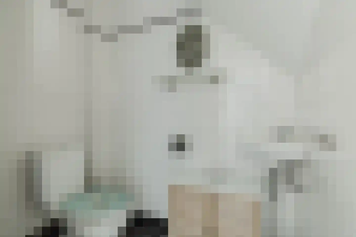 Lucas Meijerstraat 15 Tilburg thumbnail 24
