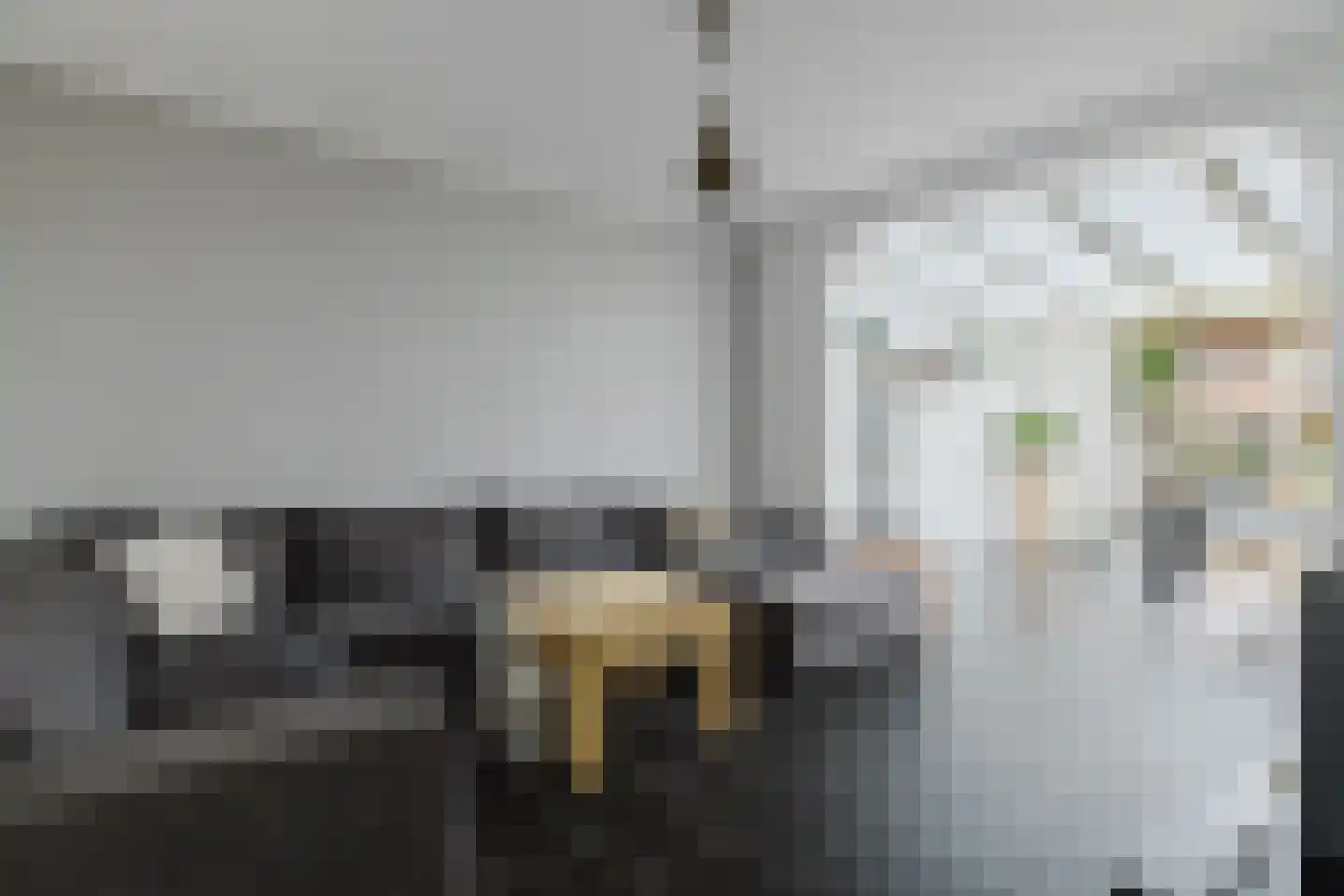 Lucas Meijerstraat 15 Tilburg thumbnail 4