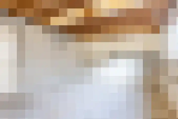 Lucas Meijerstraat 23 Tilburg thumbnail 23