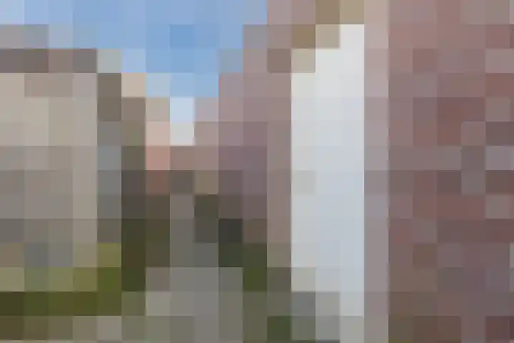 Lucas Meijerstraat 23 Tilburg thumbnail 25