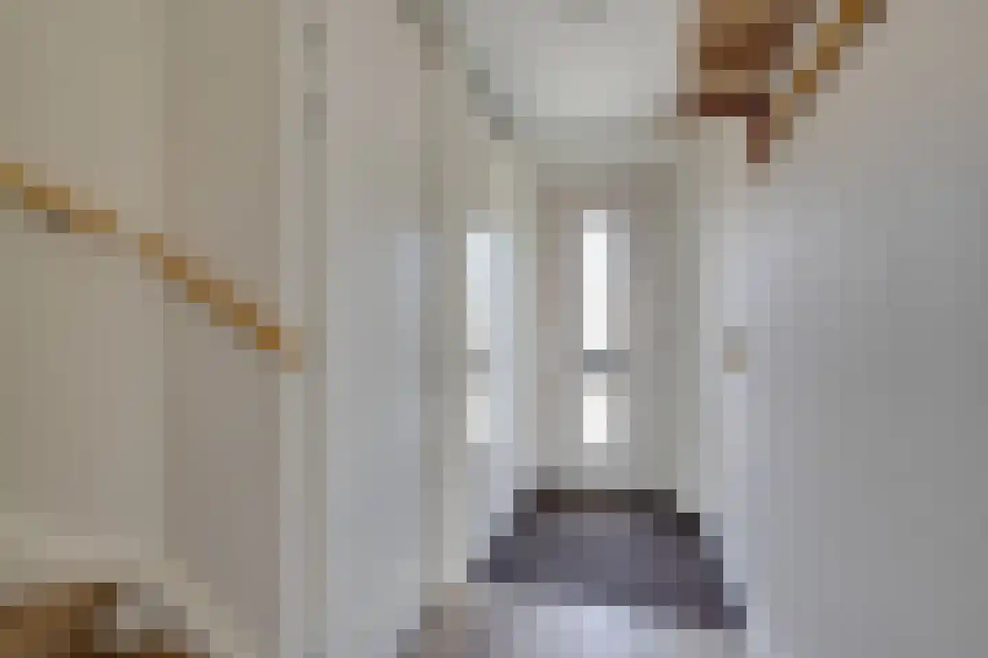 Lucas Sinckstraat 5 Middenbeemster thumbnail 10