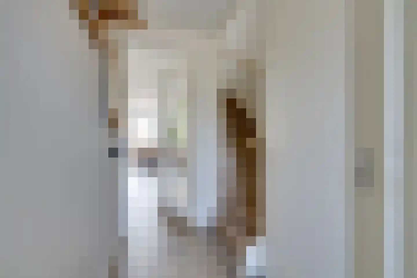 Lucas Sinckstraat 5 Middenbeemster thumbnail 11