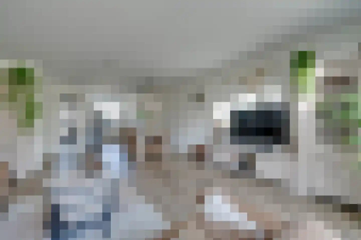 Lucas Sinckstraat 5 Middenbeemster thumbnail 20