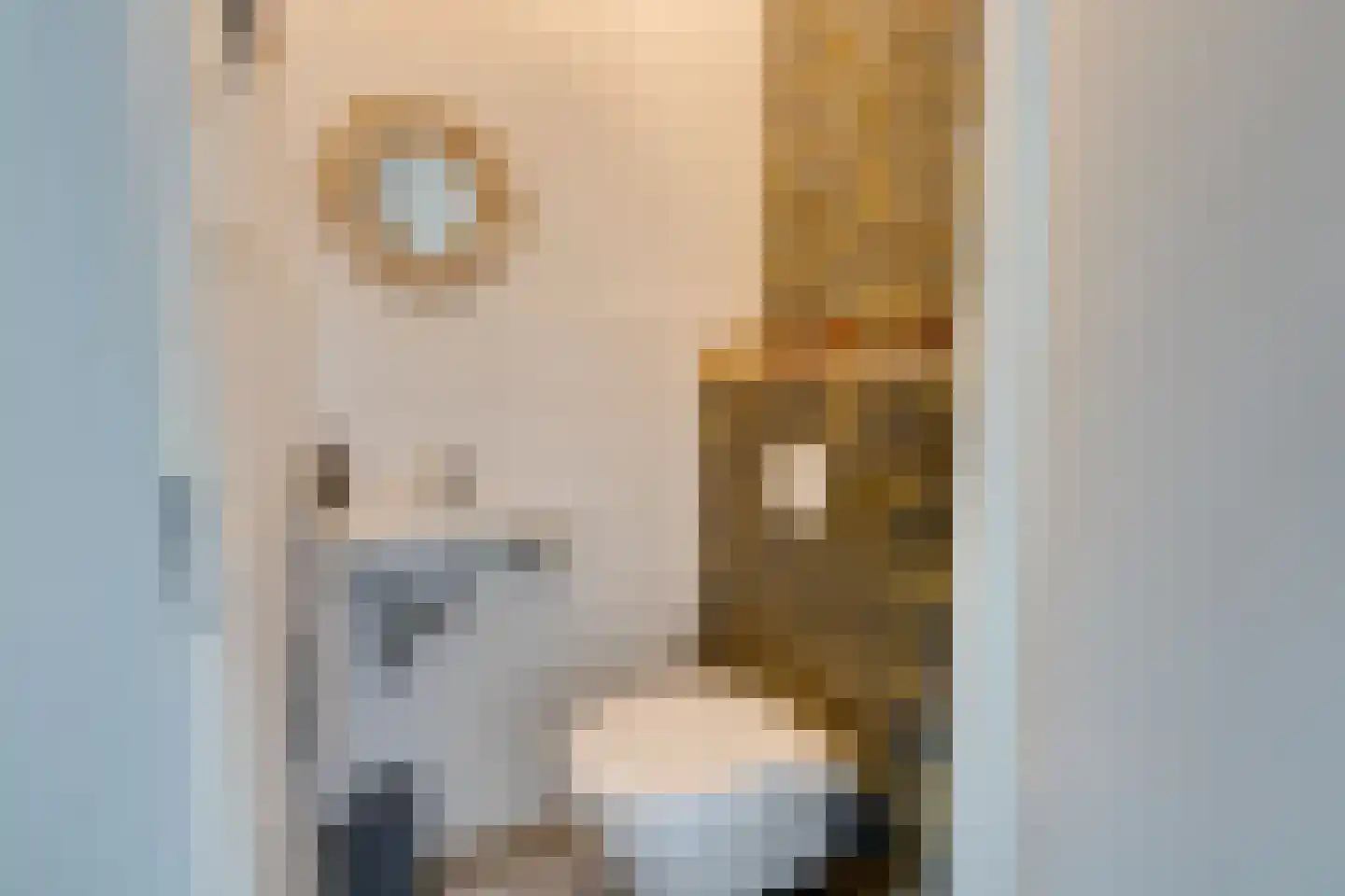 Lucas Sinckstraat 5 Middenbeemster thumbnail 35