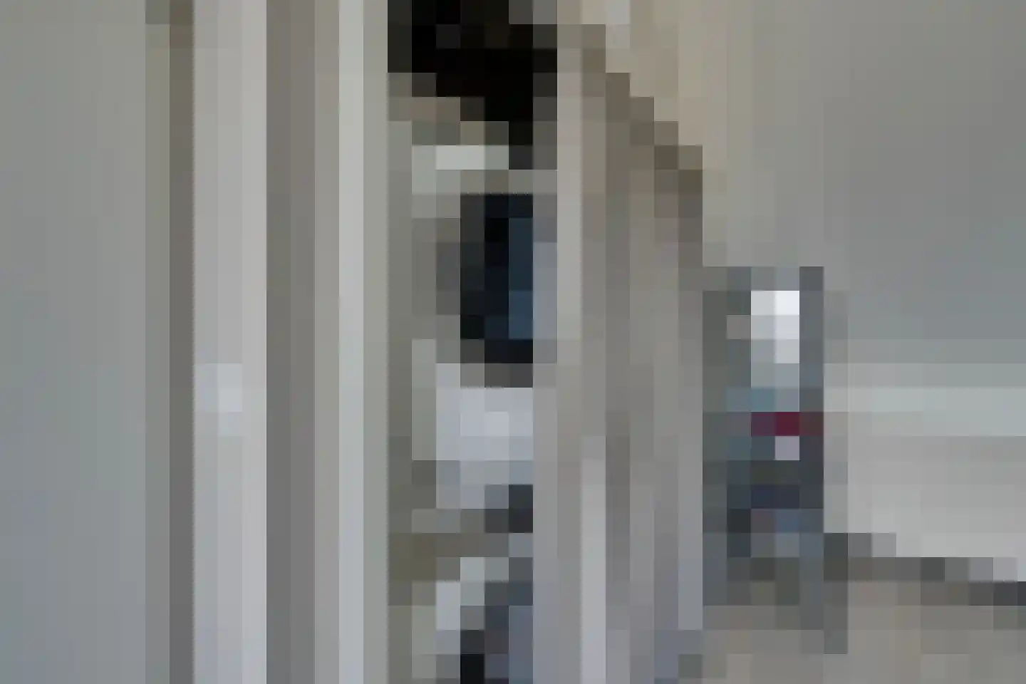 Lucas Sinckstraat 5 Middenbeemster thumbnail 51