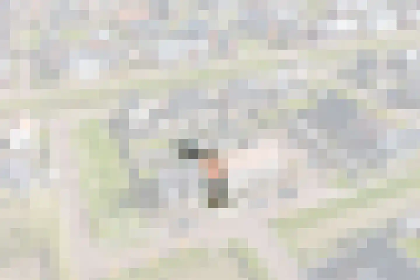 Lucas Sinckstraat 5 Middenbeemster thumbnail 6