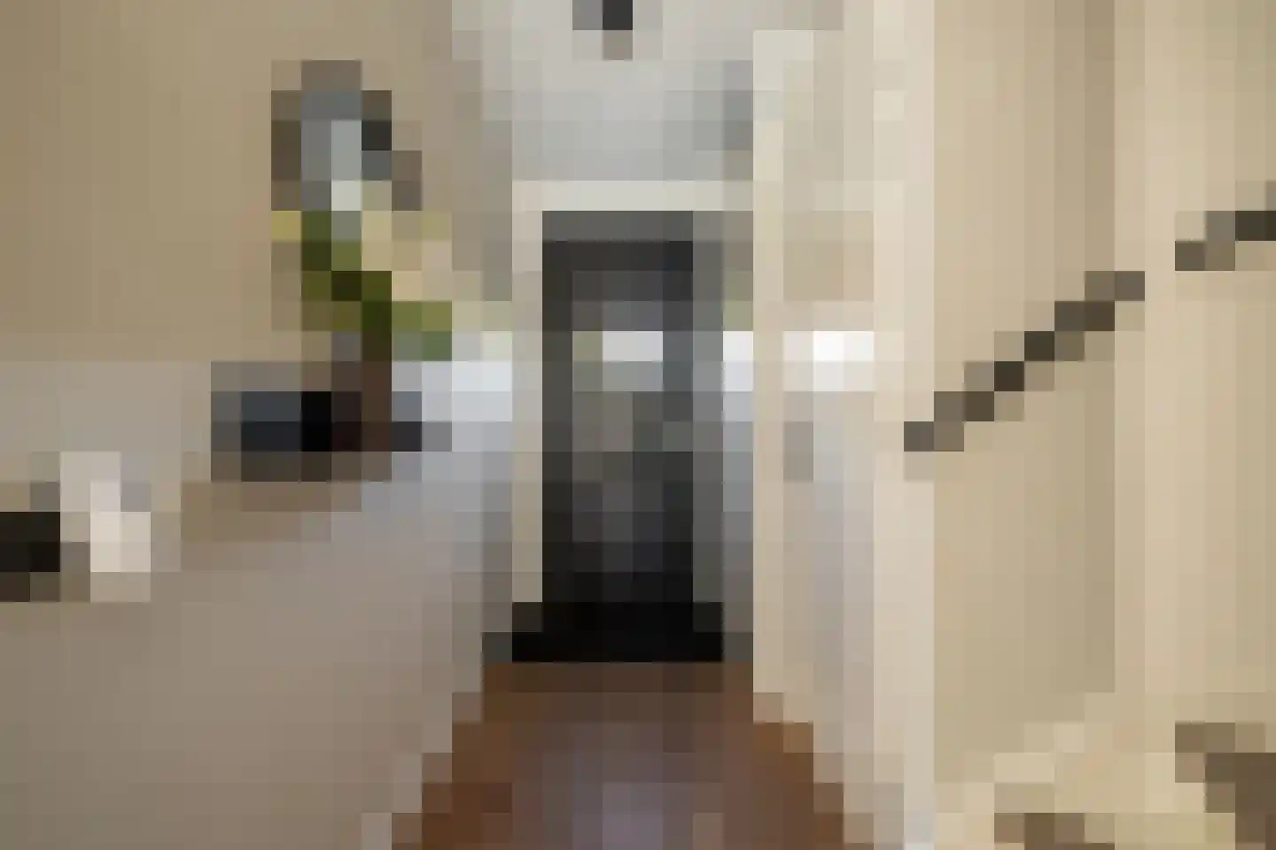 Lucas Sinckstraat 9 Middenbeemster thumbnail 22