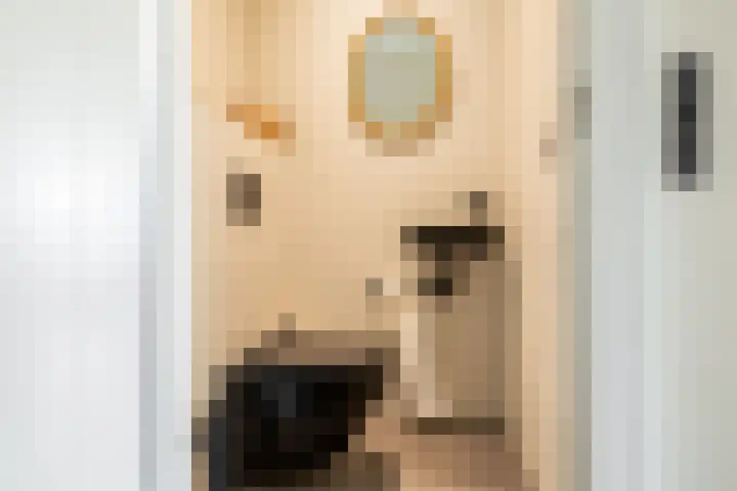 Lucas Sinckstraat 9 Middenbeemster thumbnail 23