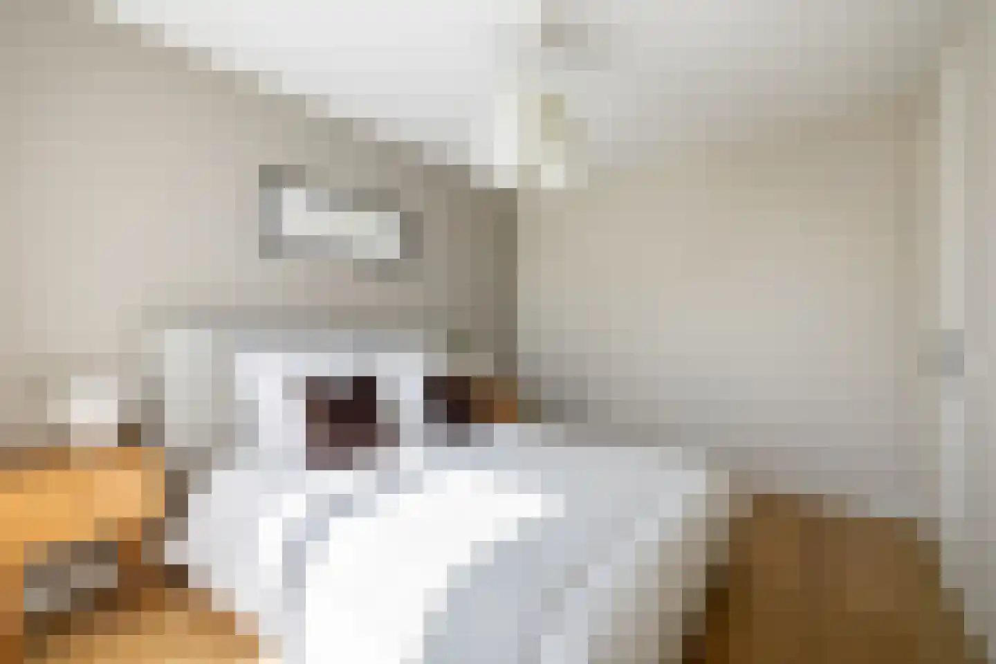 Lucas Sinckstraat 9 Middenbeemster thumbnail 27