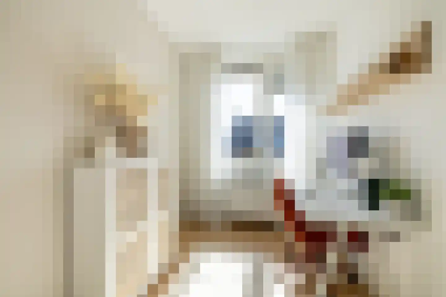 Lucas Sinckstraat 9 Middenbeemster thumbnail 32