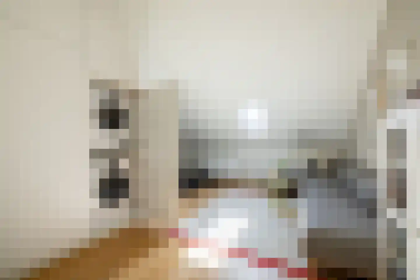 Lucas Sinckstraat 9 Middenbeemster thumbnail 41