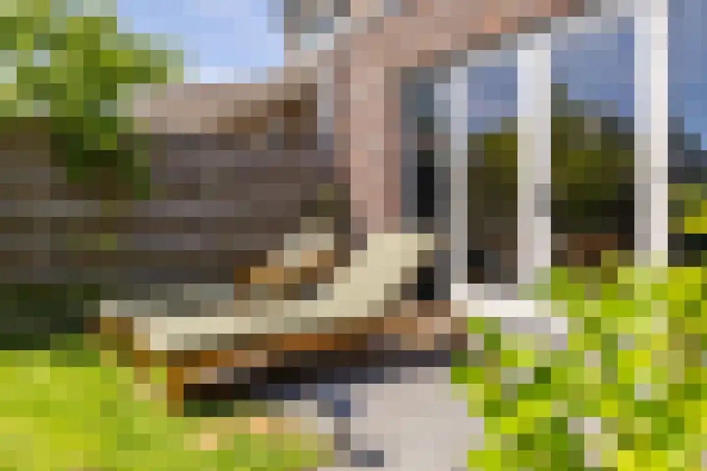 Lucas Sinckstraat 9 Middenbeemster thumbnail 43