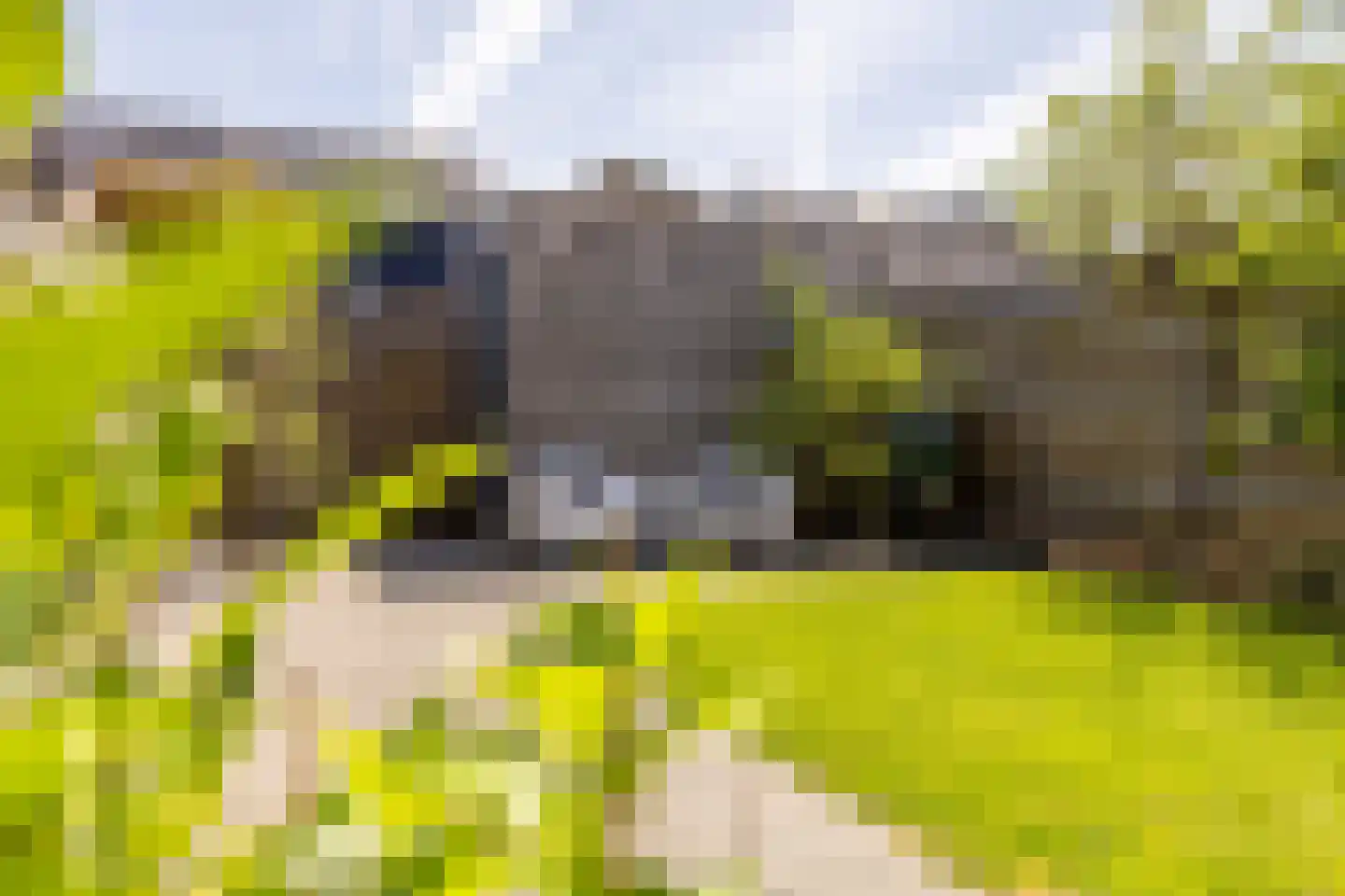 Lucas Sinckstraat 9 Middenbeemster thumbnail 45