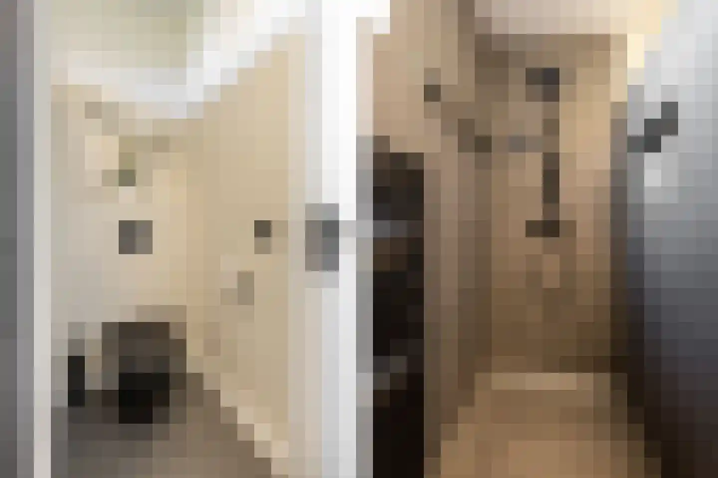 Lucas Sinckstraat 9 Middenbeemster thumbnail 5