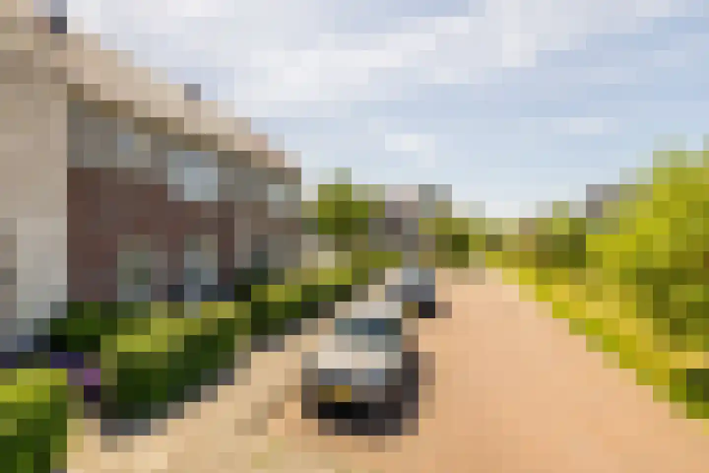 Lucas Sinckstraat 9 Middenbeemster thumbnail 50