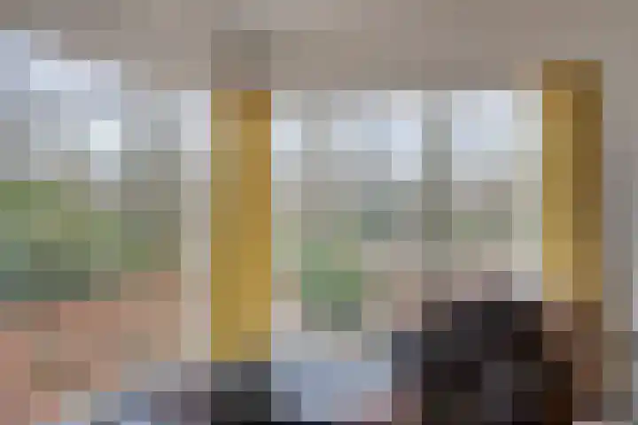 Lucas van Hauthemlaan 6 Nuenen thumbnail 12