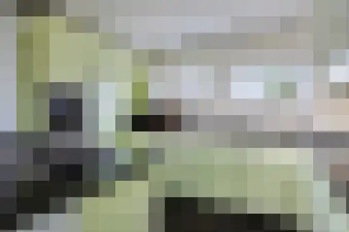 Lucas van Hauthemlaan 6 Nuenen thumbnail 17