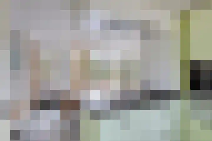Lucas van Hauthemlaan 6 Nuenen thumbnail 18