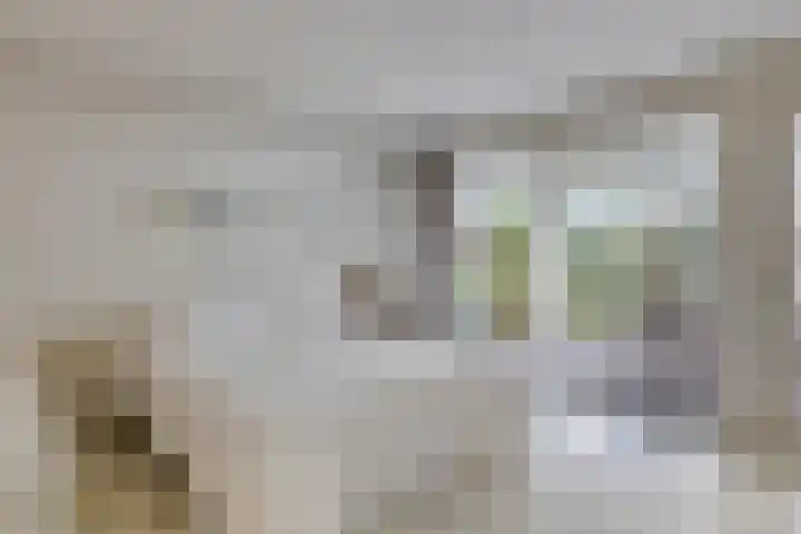 Lucas van Hauthemlaan 6 Nuenen thumbnail 20