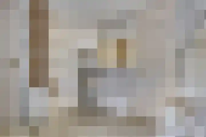 Lucas van Hauthemlaan 6 Nuenen thumbnail 22