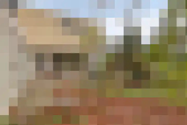 Lucas van Hauthemlaan 6 Nuenen thumbnail 36