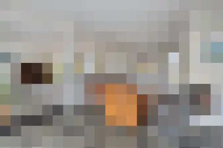 Lucas van Hauthemlaan 6 Nuenen thumbnail 8